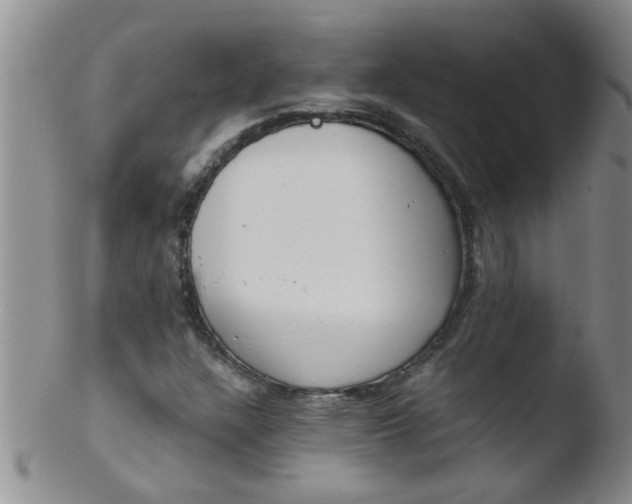 X0000103501304200809262004