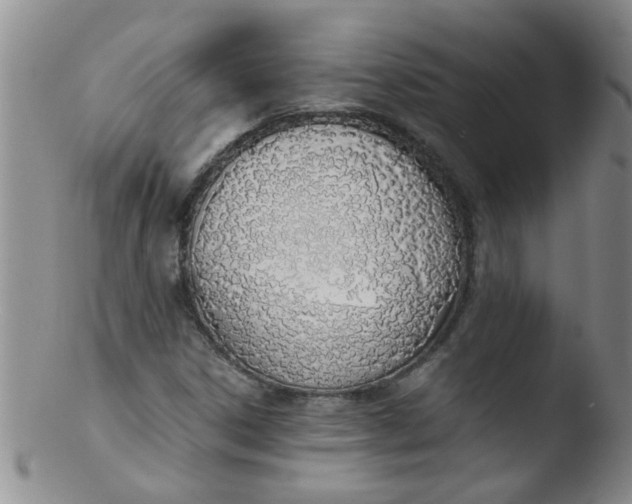 X0000103501306200809262004