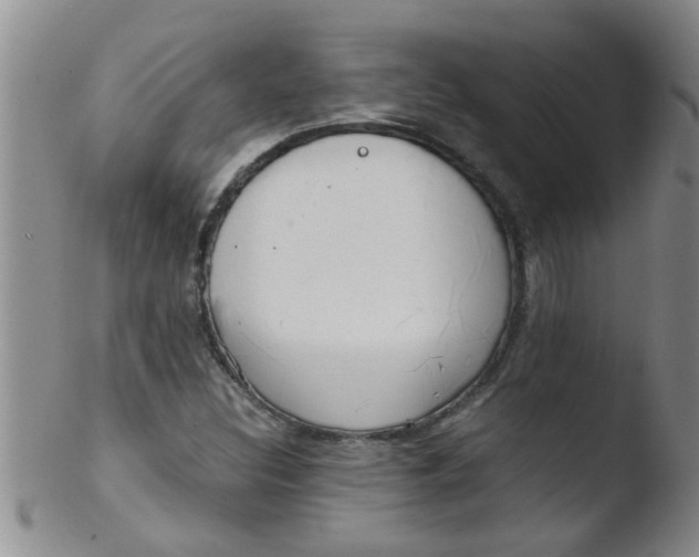 X0000103501308200809262004