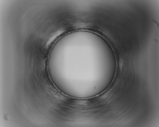 X0000103501309200809262004