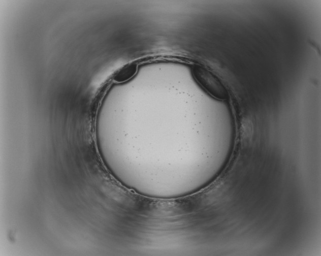 X0000103501310200809262004