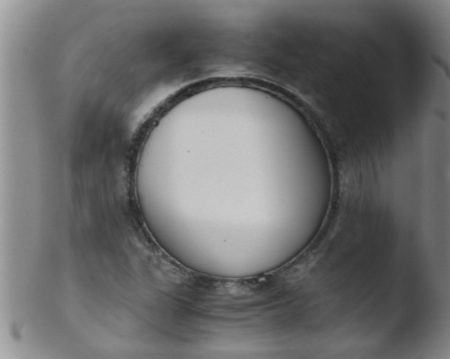 X0000103501311200809262004