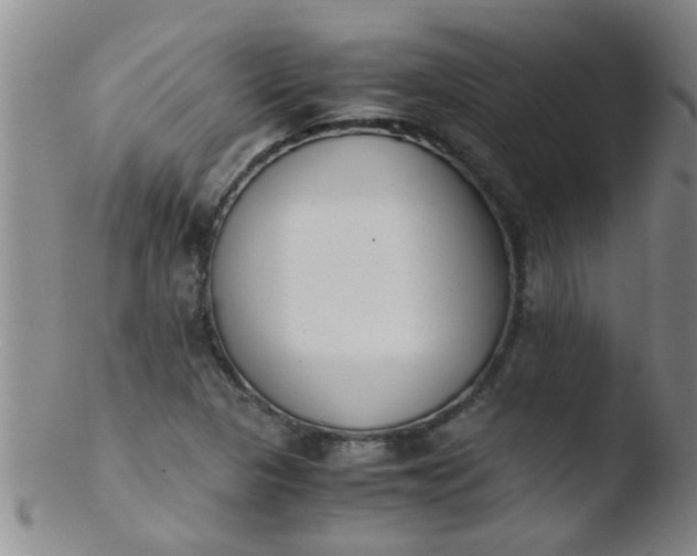 X0000103501313200809262004