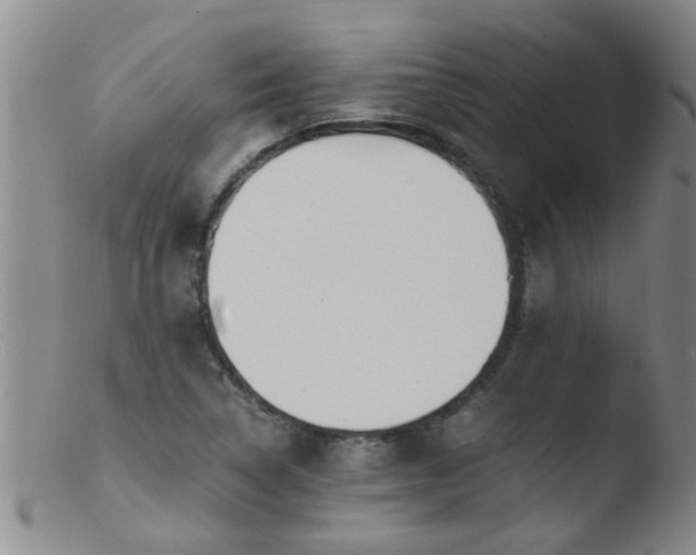 X0000103501314200809262004