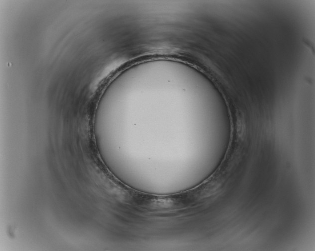 X0000103501315200809262005