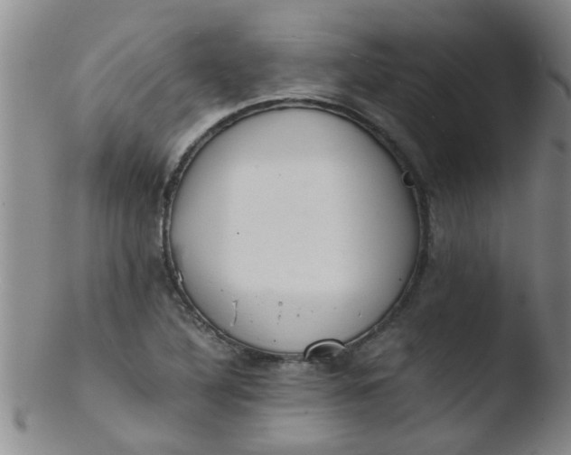 X0000103501316200809262005