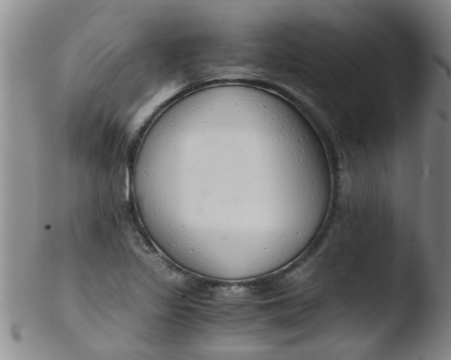 X0000103501317200809262005