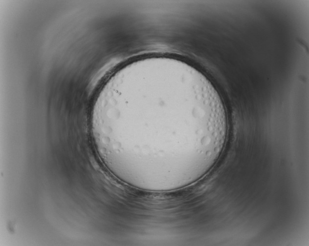 X0000103501318200809262005