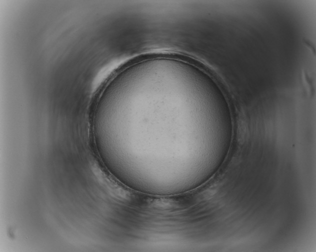 X0000103501319200809262005