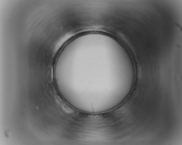 X0000103501320200809262005