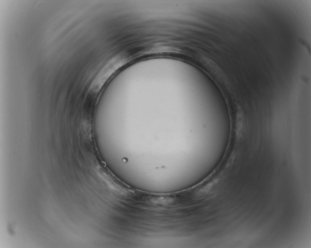 X0000103501321200809262005