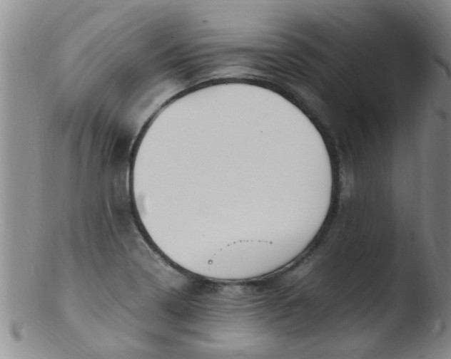 X0000103501322200809262005