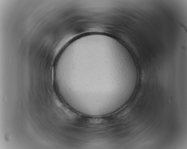 X0000103501323200809262005