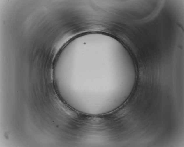 X0000103501324200809262005