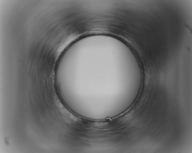 X0000103501325200809262005