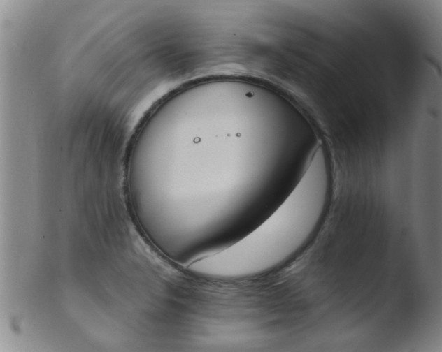 X0000103501326200809262005