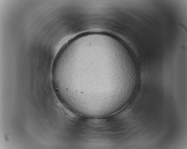 X0000103501327200809262005