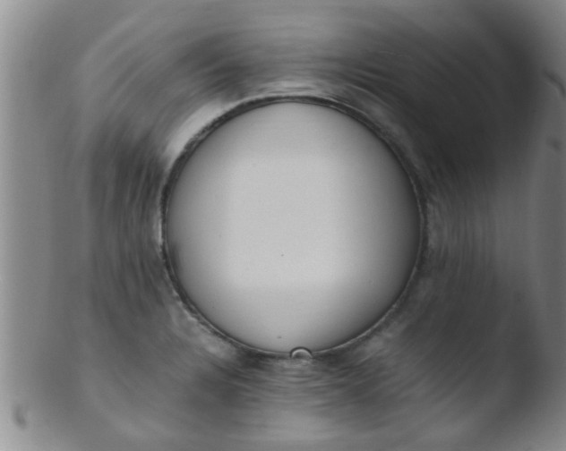 X0000103501328200809262005