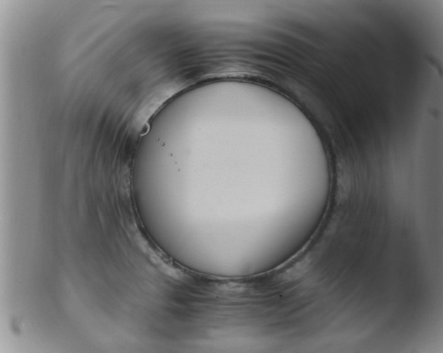 X0000103501329200809262005