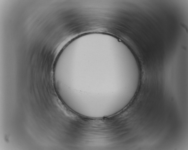 X0000103501332200809262005