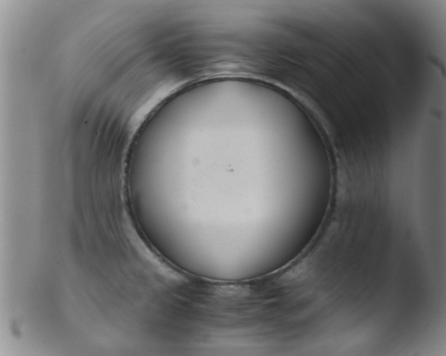 X0000103501333200809262005