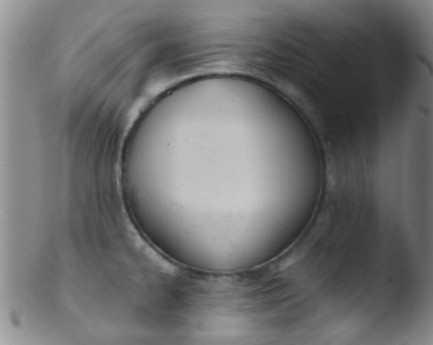 X0000103501334200809262005