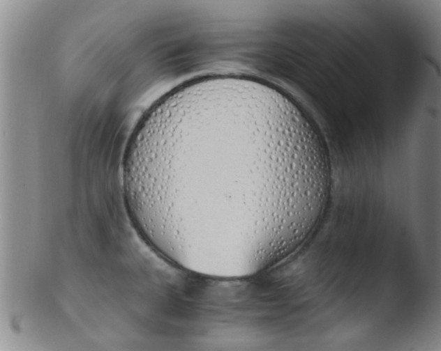 X0000103501335200809262005