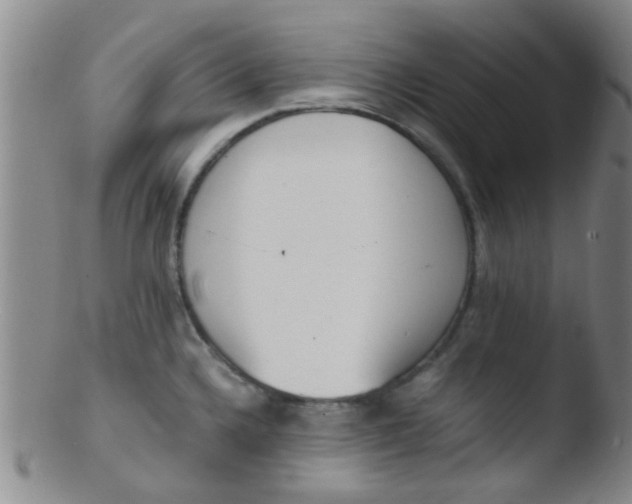 X0000103501336200809262005