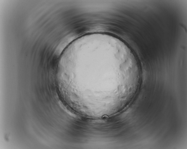 X0000103501337200809262005