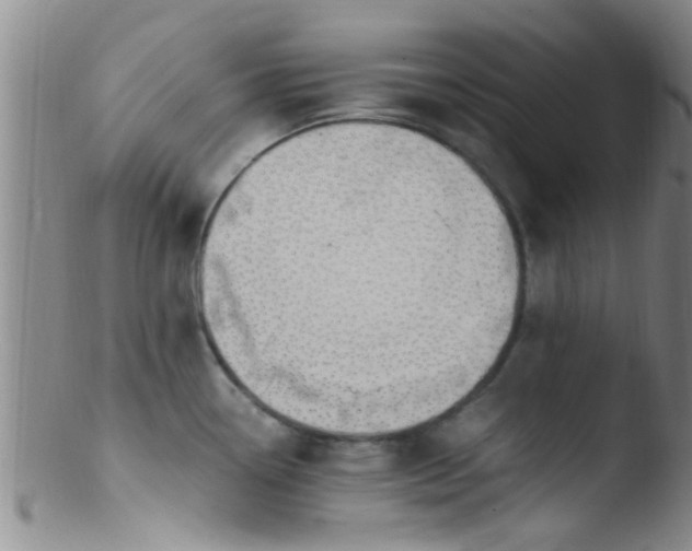 X0000103501338200809262005