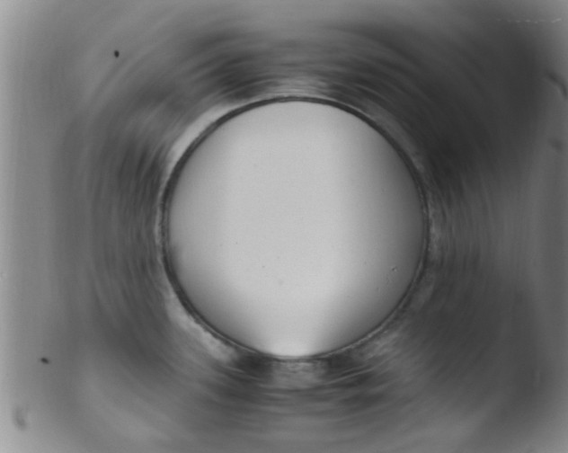 X0000103501339200809262005