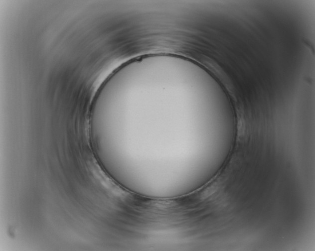 X0000103501340200809262005