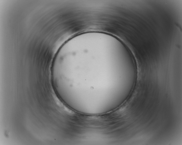 X0000103501341200809262005