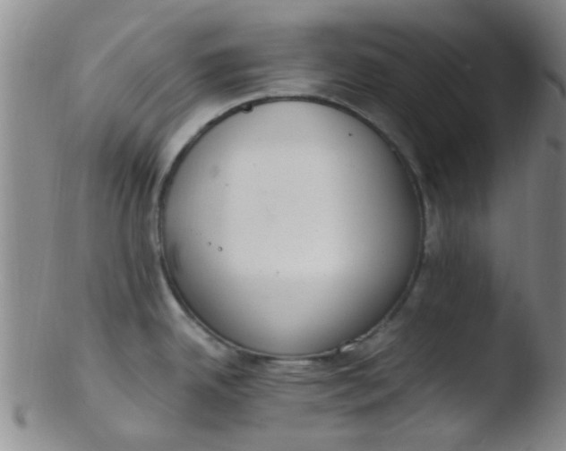 X0000103501342200809262005