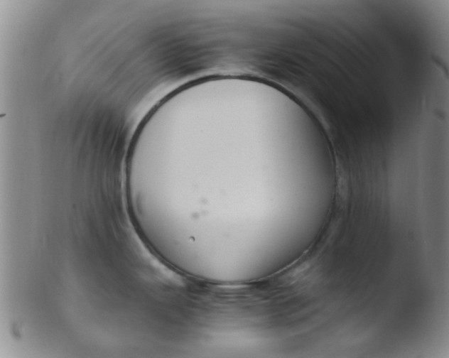 X0000103501343200809262005