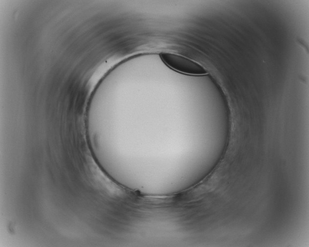 X0000103501344200809262005