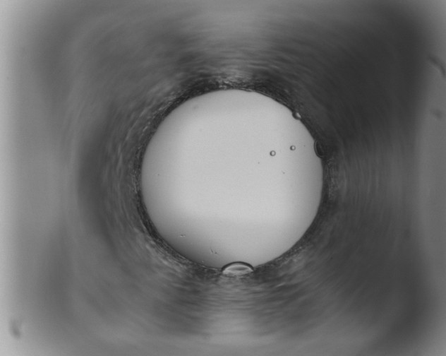 X0000103501345200809262004