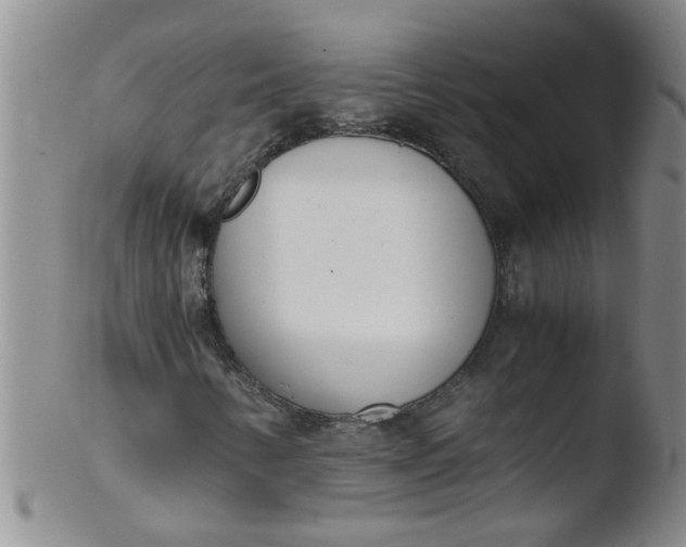 X0000103501346200809262004