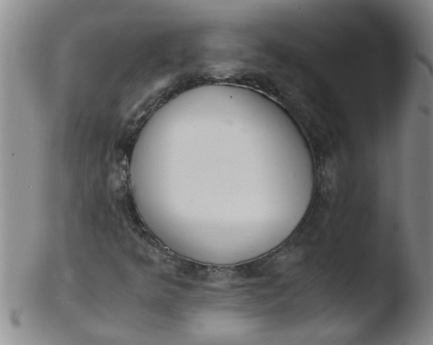 X0000103501349200809262004