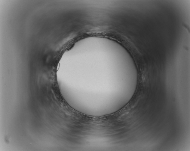 X0000103501350200809262004