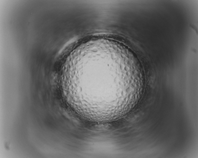 X0000103501351200809262004