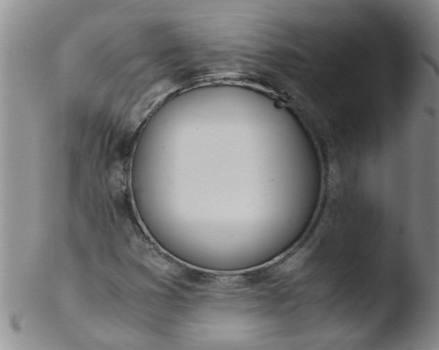 X0000103501353200809262004