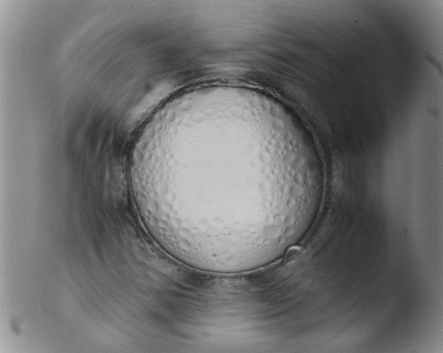 X0000103501354200809262004