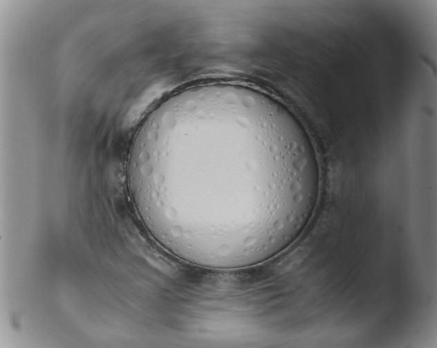 X0000103501355200809262004