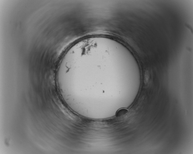 X0000103501356200809262004