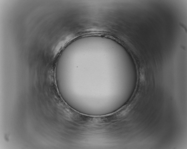 X0000103501357200809262004