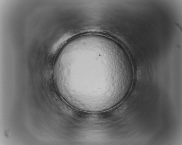 X0000103501359200809262004