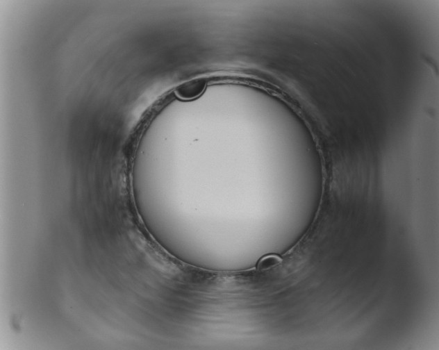 X0000103501360200809262004