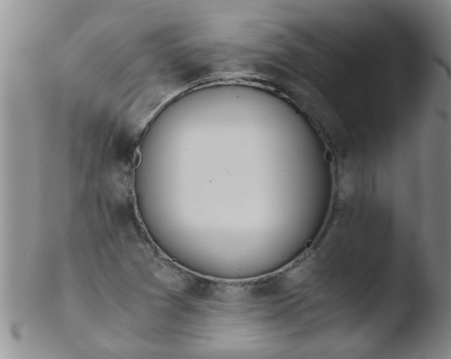 X0000103501361200809262004