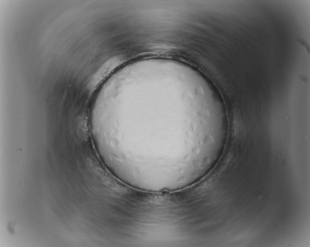 X0000103501362200809262004